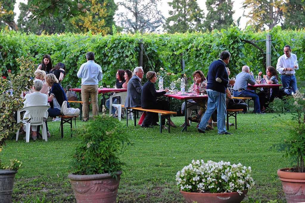 Cena in Vigna con Bottega Modena – foto di Diego Poluzzi