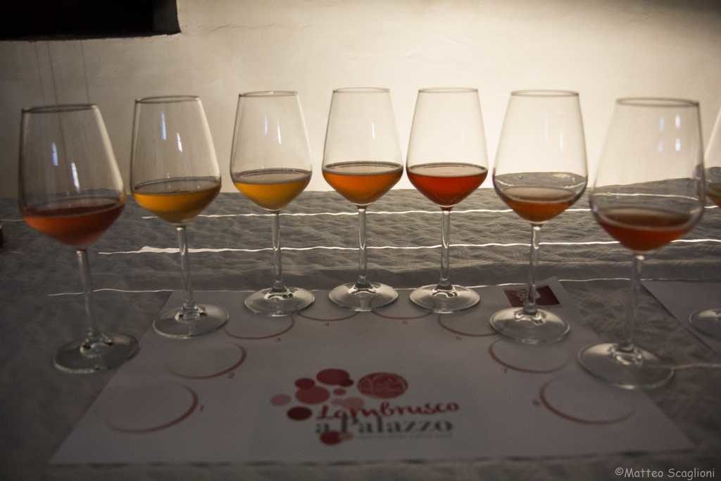 Verticale di Radice – Lambrusco a Palazzo
