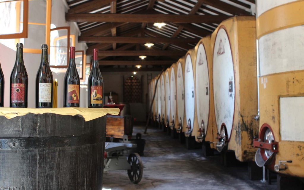 Il tuo Sorbara in damigiana