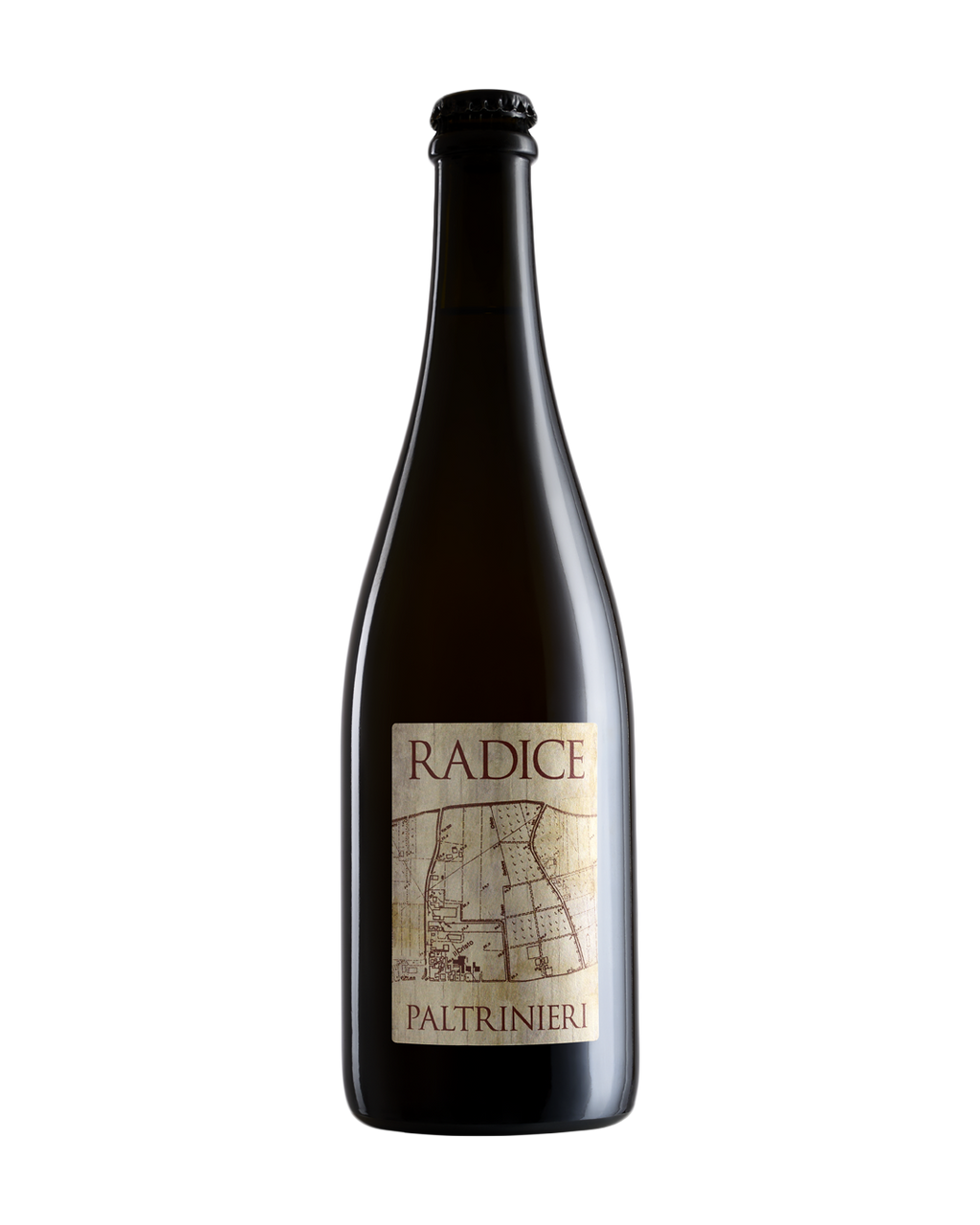 Radice