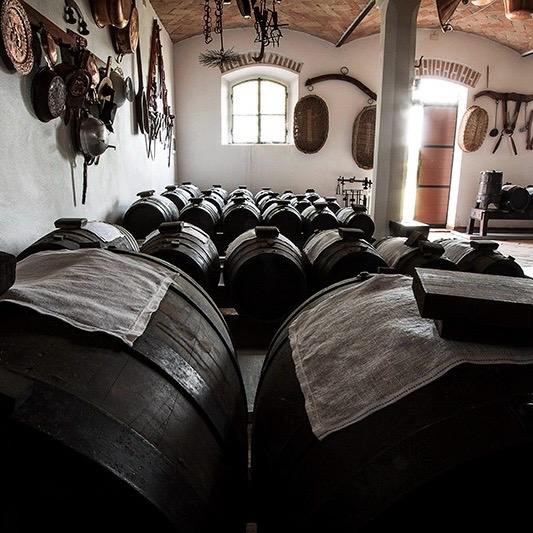 WhatsApp Image 2025-02-25 at 5.52.28 PM