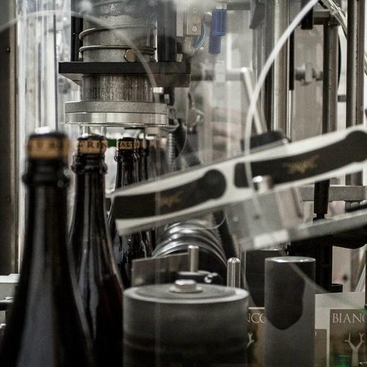 WhatsApp Image 2025-02-25 at 5.59.33 PM